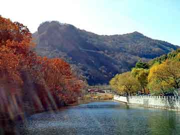 澳门二四六天天彩图库，陇南物流